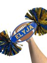 Personalized Football Cheer Pom Sign Custom Football Spirit Stick